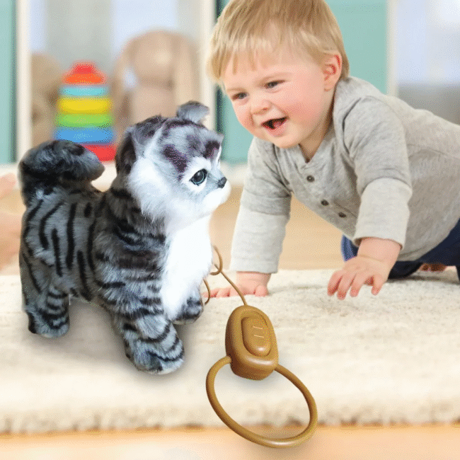 Musical Walking Cat Plush Toy With Remote