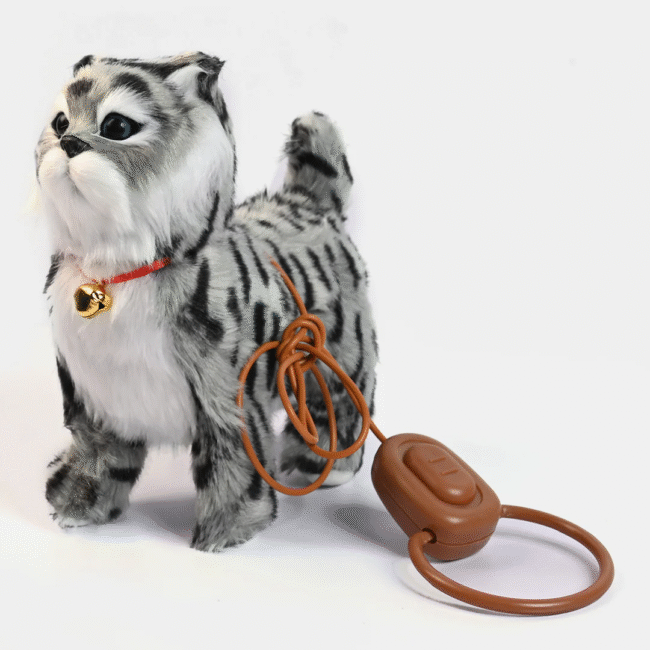 Musical Walking Cat Plush Toy With Remote - Image 4